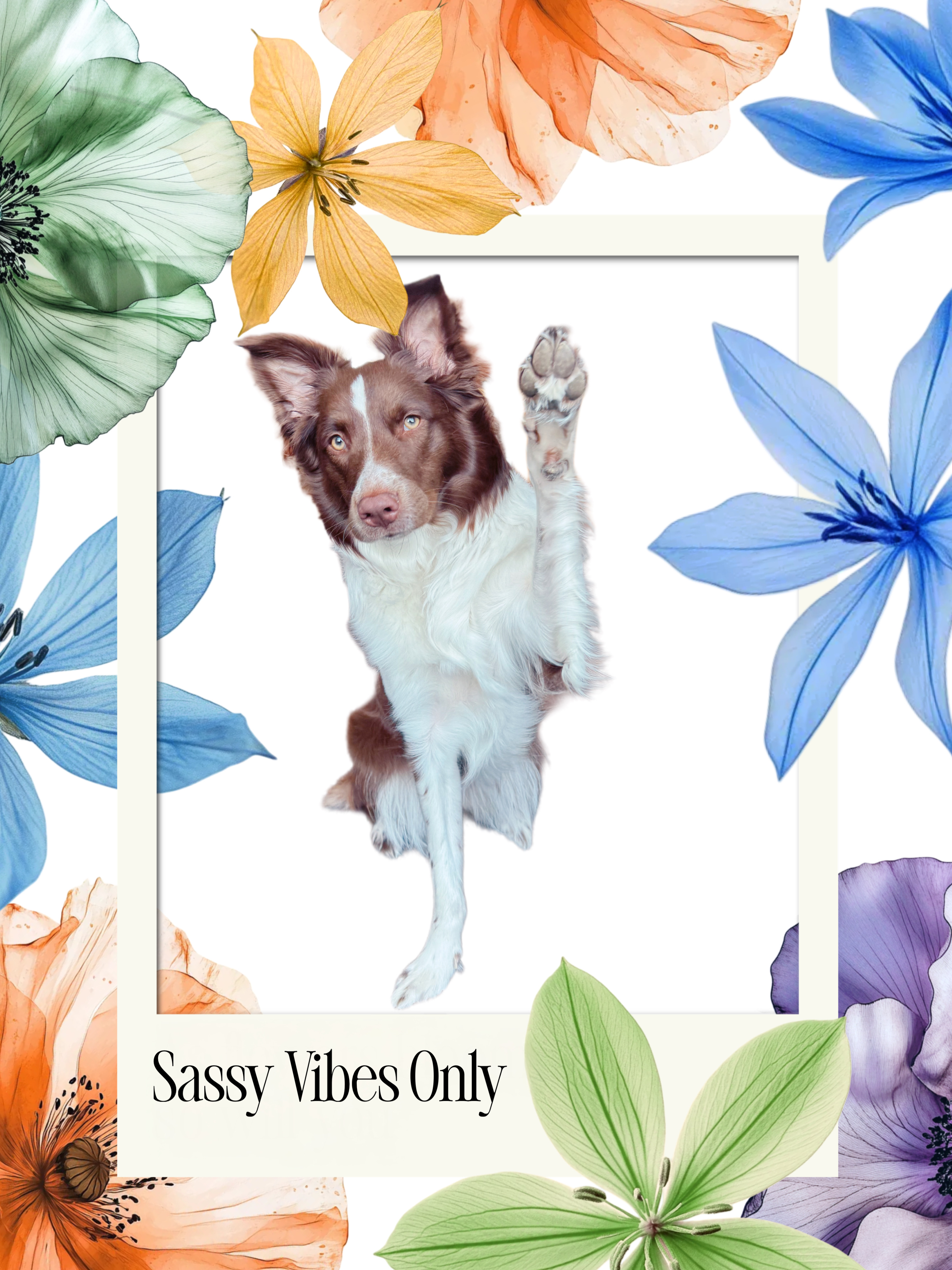 Meet Sassy